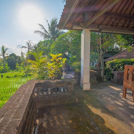 Puri Cili Villa Ubud Eksteriør billede