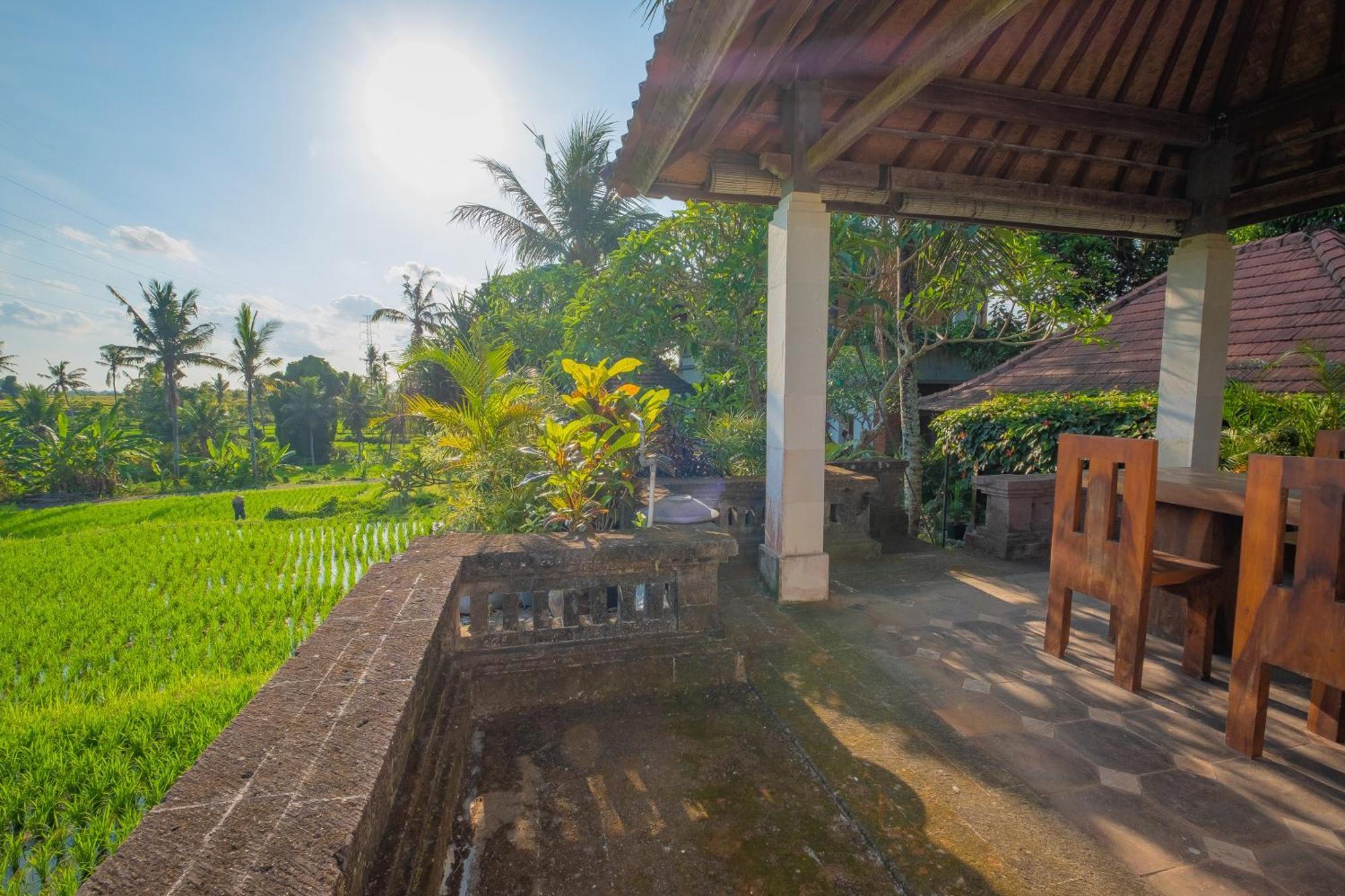 Puri Cili Villa Ubud Eksteriør billede